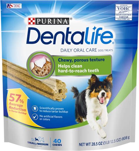 Best Dental Care Products for Dogs