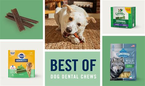 Best Dental Treats for Dogs: A Complete Guide