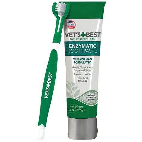 Best Dog Toothbrush Options for Your Pet
