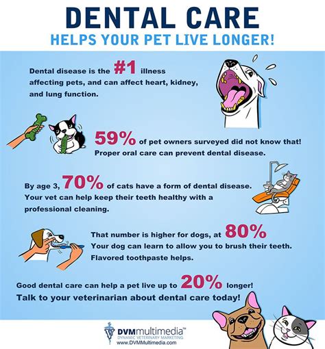 How to Prevent Dental Disease in Dogs