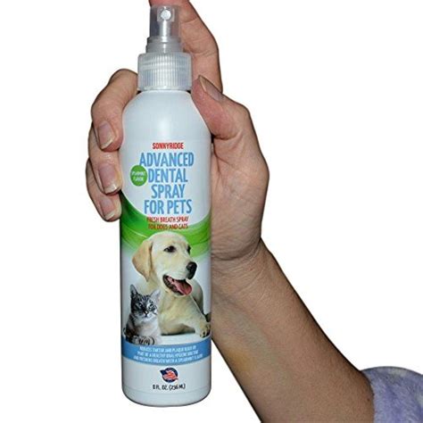 How to Use Dental Sprays for Dog Teeth Cleaning