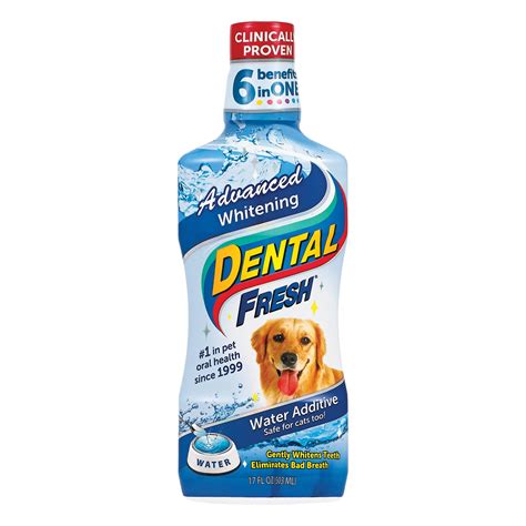 The Role of Water Additives in Dog Teeth Cleaning