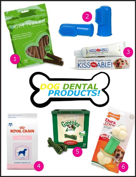 Top Ingredients to Look for in Dog Dental Products