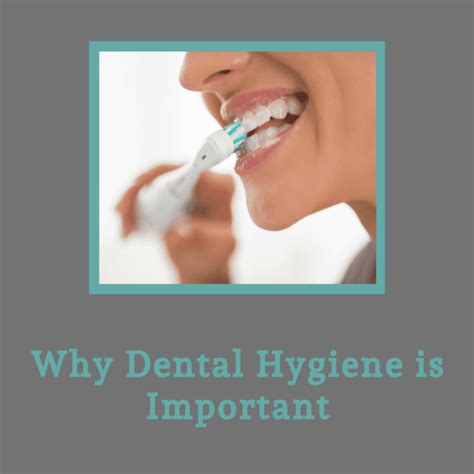 Why Dental Hygiene Is Important for Dogs of All Ages