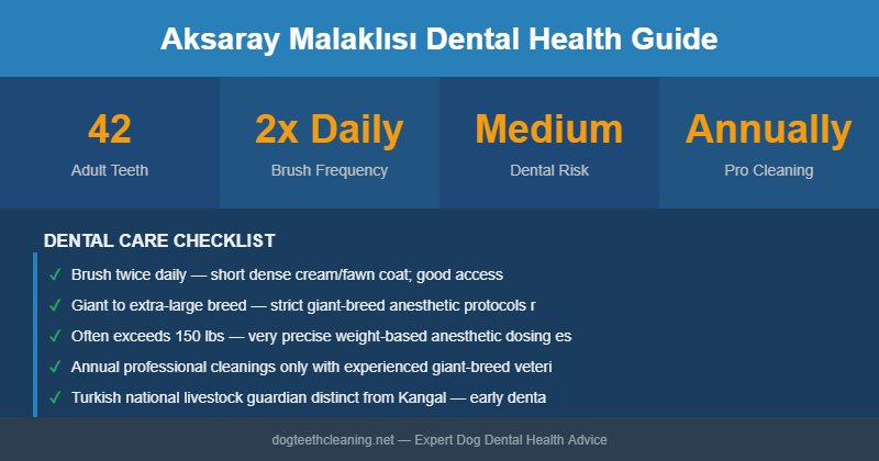 Aksaray Malaklısı dental health infographic