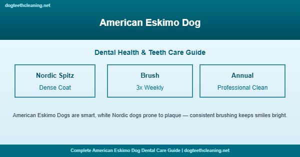 American Eskimo Dog teeth cleaning and dental care guide
