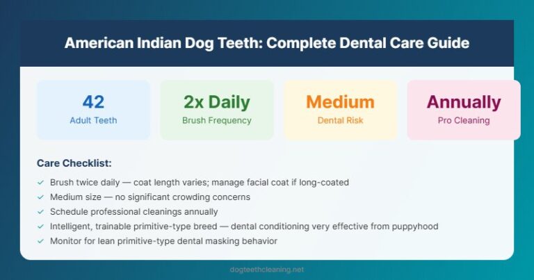 american indian dog teeth dental care guide infographic