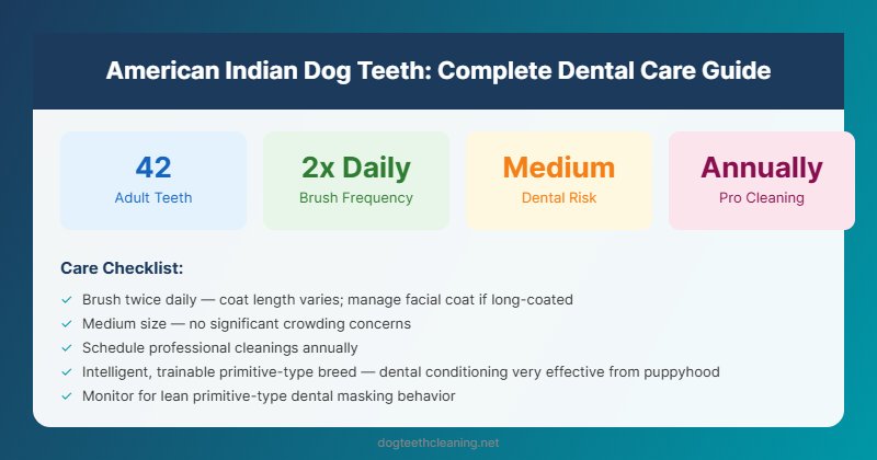 american indian dog teeth dental care guide infographic