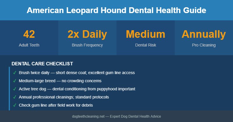 American Leopard Hound dental health infographic