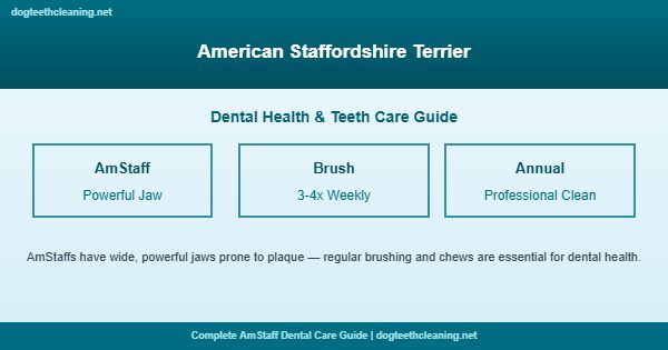 American Staffordshire Terrier teeth cleaning and dental care guide