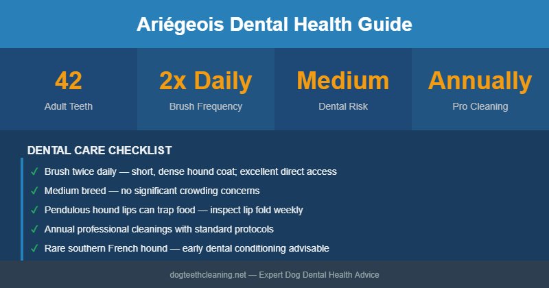 Ariégeois dental health infographic
