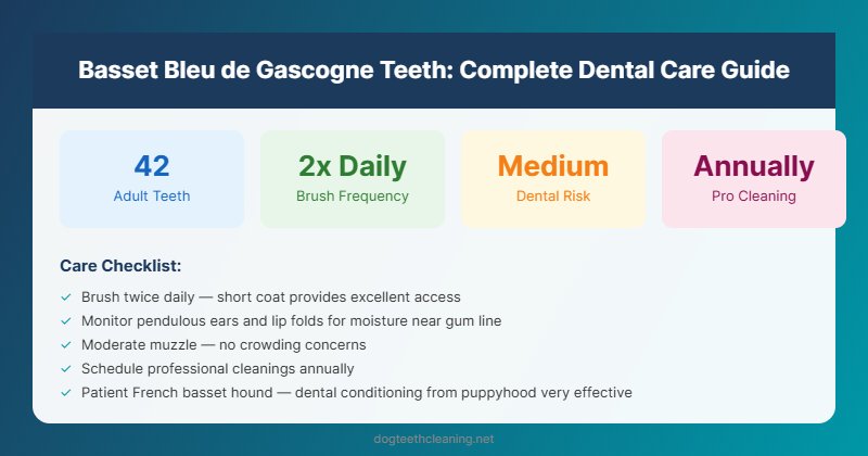 basset bleu de gascogne teeth dental care guide infographic