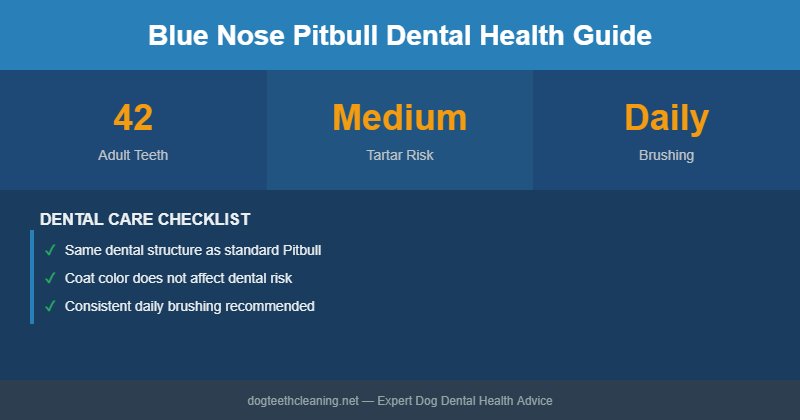 Blue Nose Pitbull dental health infographic