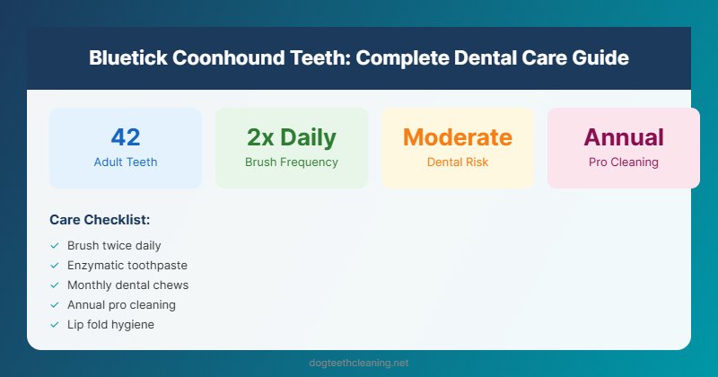 bluetick coonhound teeth dental care guide infographic