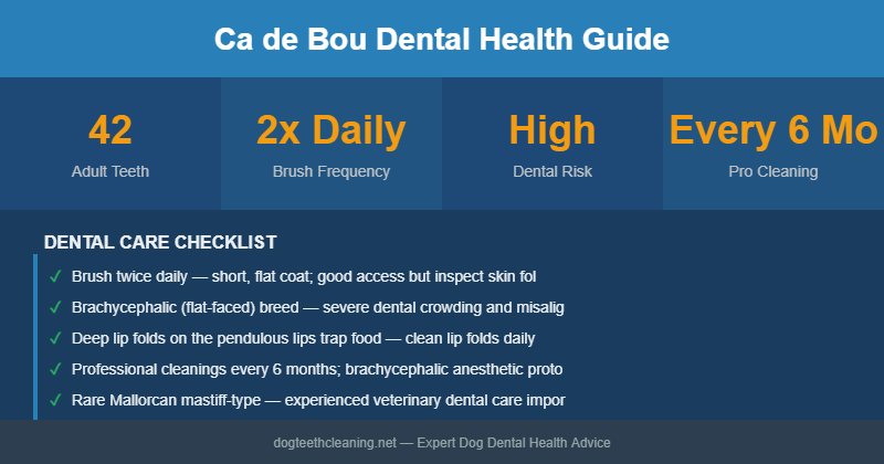 Ca de Bou dental health infographic