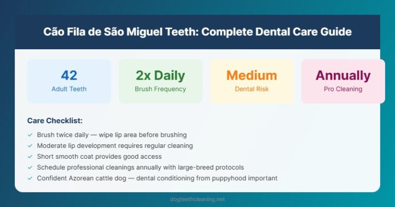 cao fila de sao miguel teeth dental care guide infographic