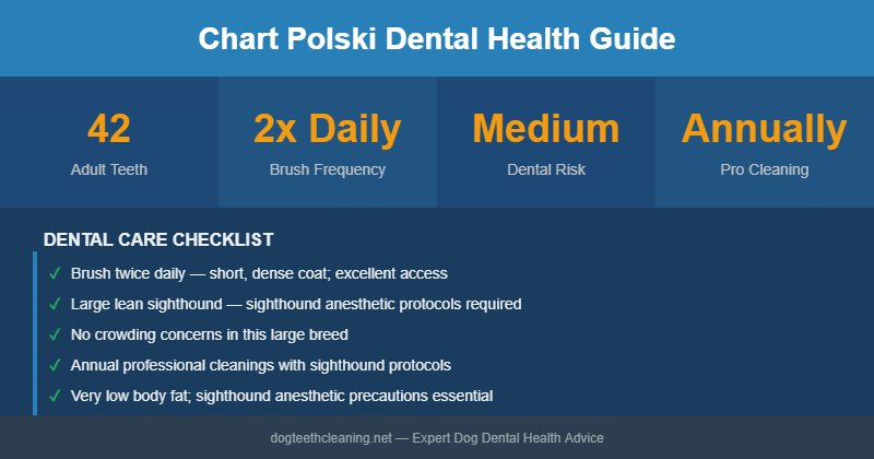 Chart Polski dental health infographic