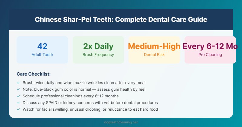 chinese shar pei teeth dental care guide infographic