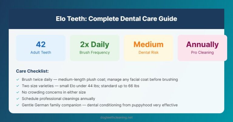elo dog teeth dental care guide infographic