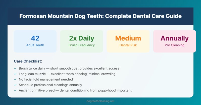 formosan mountain dog teeth dental care guide infographic