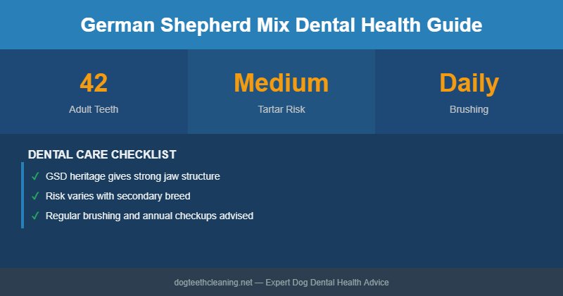 German Shepherd Mix dental health infographic