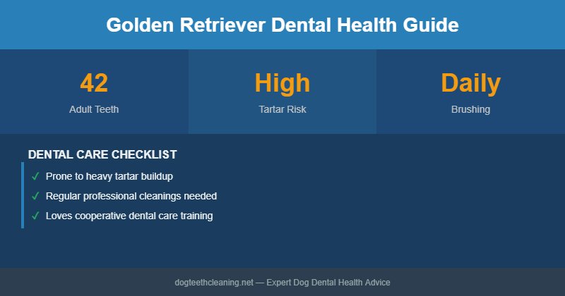 Golden Retriever dental health infographic