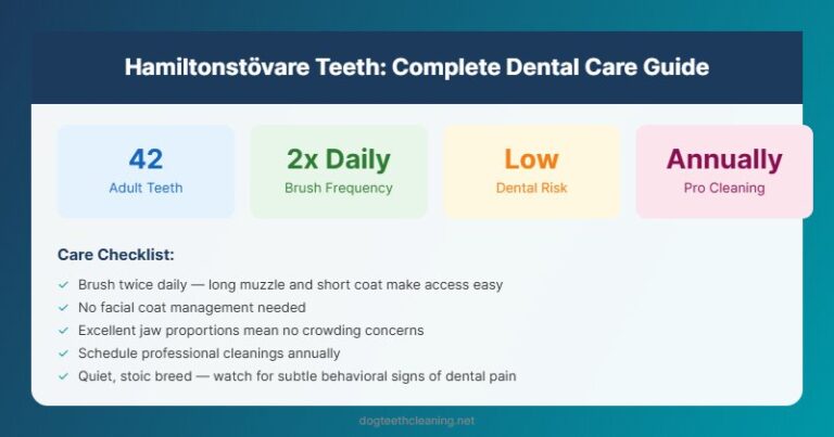 hamiltonstovare teeth dental care guide infographic