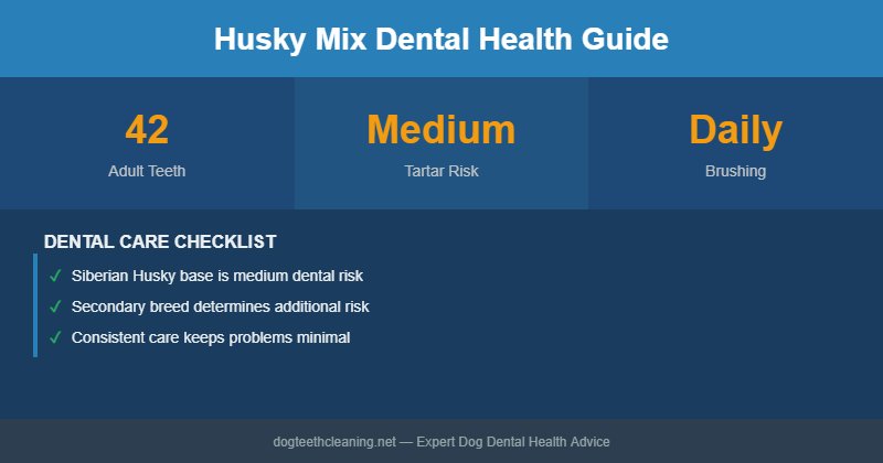 Husky Mix dental health infographic