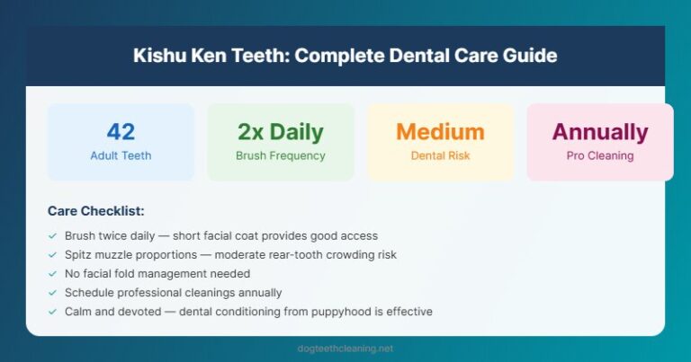 kishu ken teeth dental care guide infographic