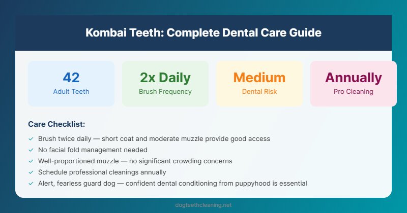 kombai teeth dental care guide infographic