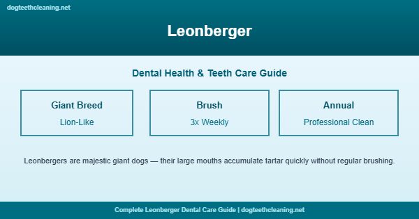Leonberger teeth cleaning and dental care guide