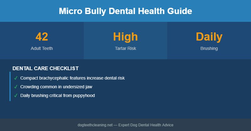 Micro Bully dental health infographic