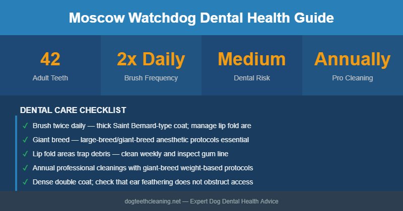 Moscow Watchdog dental health infographic