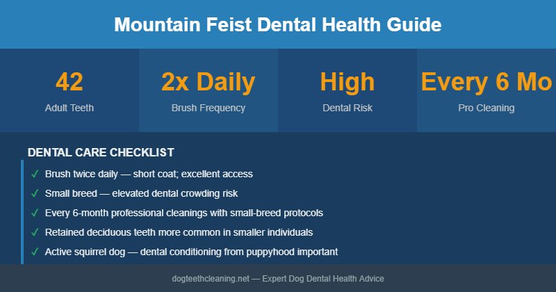 Mountain Feist dental health infographic