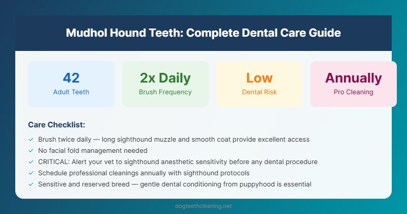 mudhol hound teeth dental care guide infographic