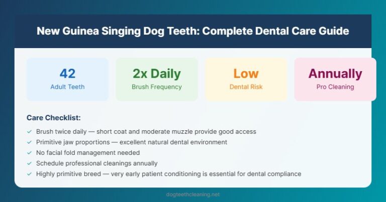 new guinea singing dog teeth dental care guide infographic