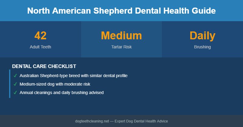 North American Shepherd dental health infographic