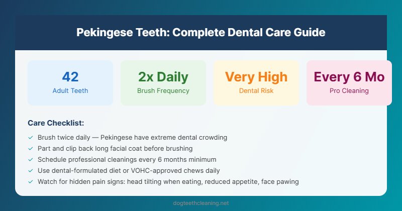 pekingese teeth dental care guide infographic