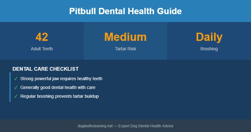 Pitbull dental health infographic