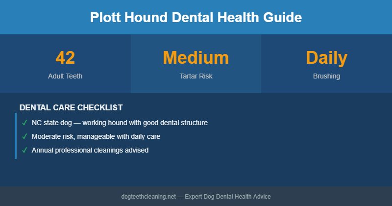 Plott Hound dental health infographic