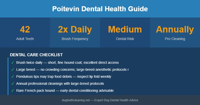 Poitevin dental health infographic