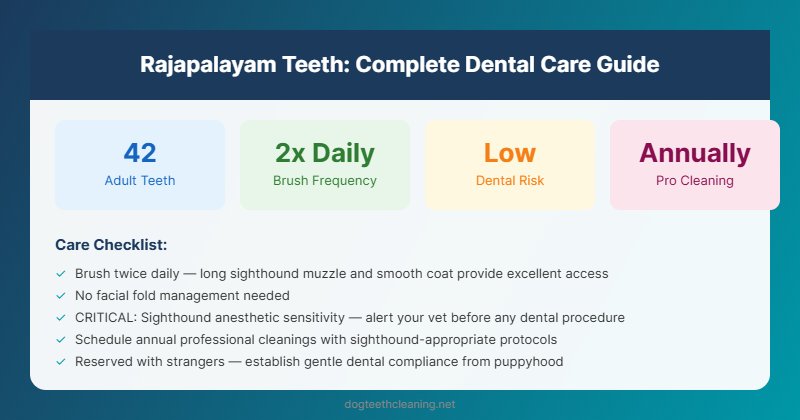 rajapalayam teeth dental care guide infographic