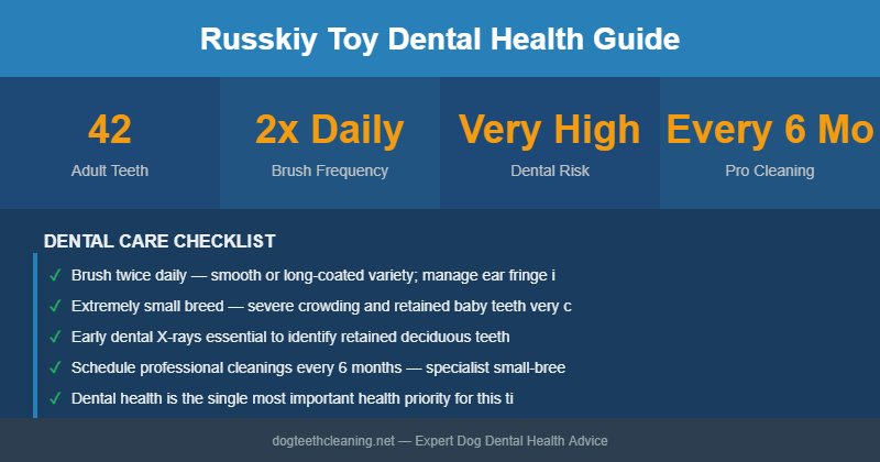Russkiy Toy dental health infographic