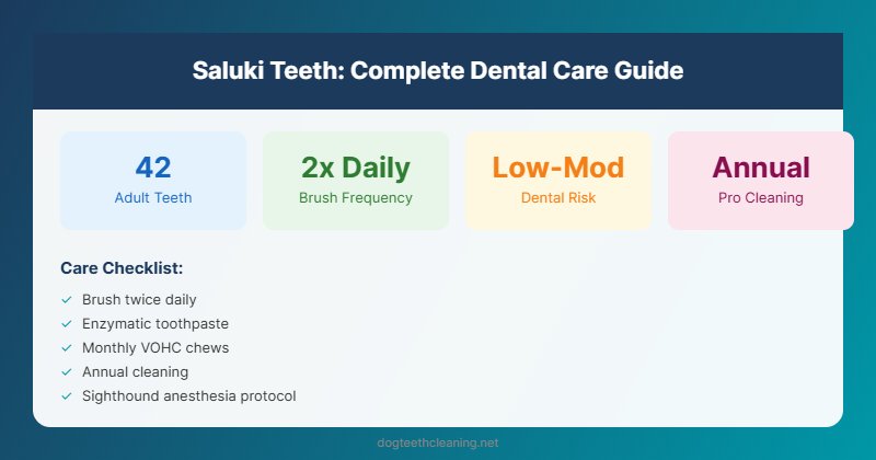 saluki teeth dental care guide infographic