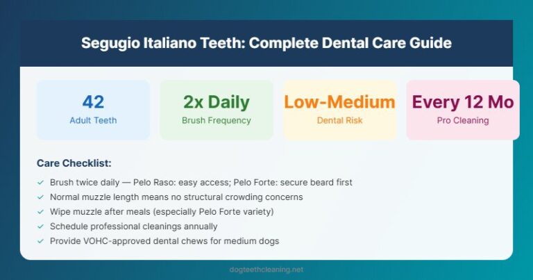 segugio italiano teeth dental care guide infographic
