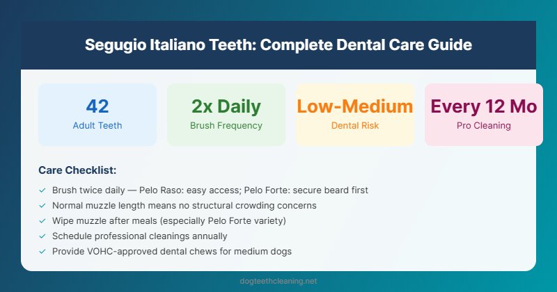 segugio italiano teeth dental care guide infographic