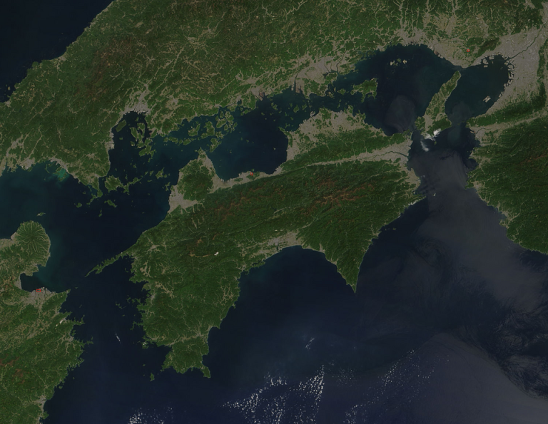 shikoku teeth