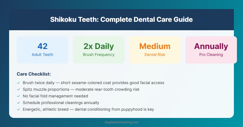 shikoku teeth dental care guide infographic