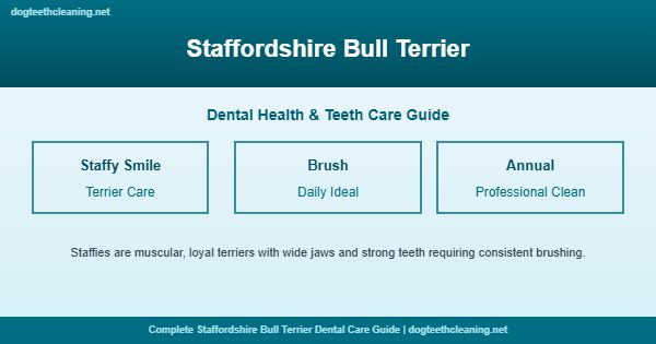 Staffordshire Bull Terrier teeth cleaning and dental care guide