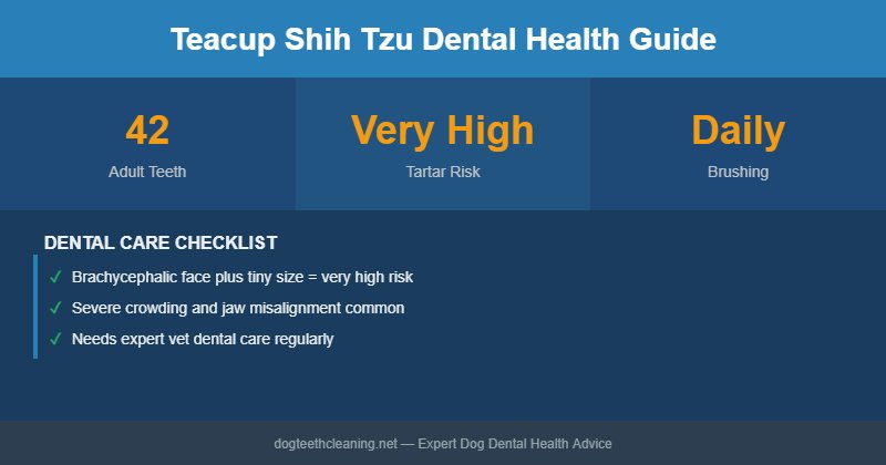 Teacup Shih Tzu dental health infographic